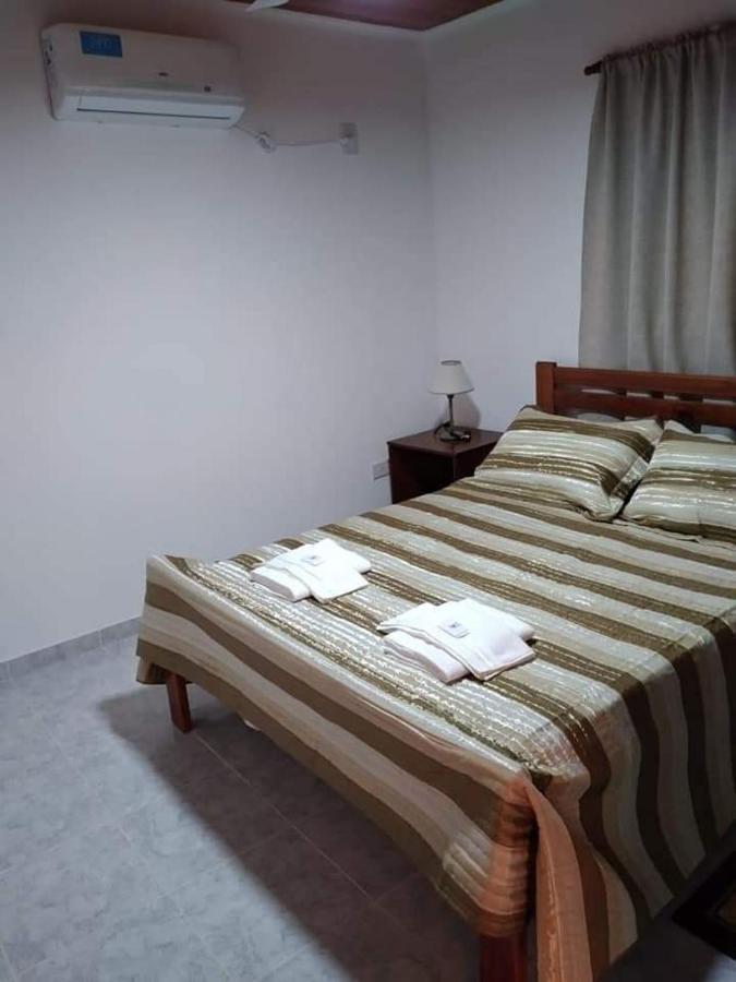 Apartment Departamento Odi