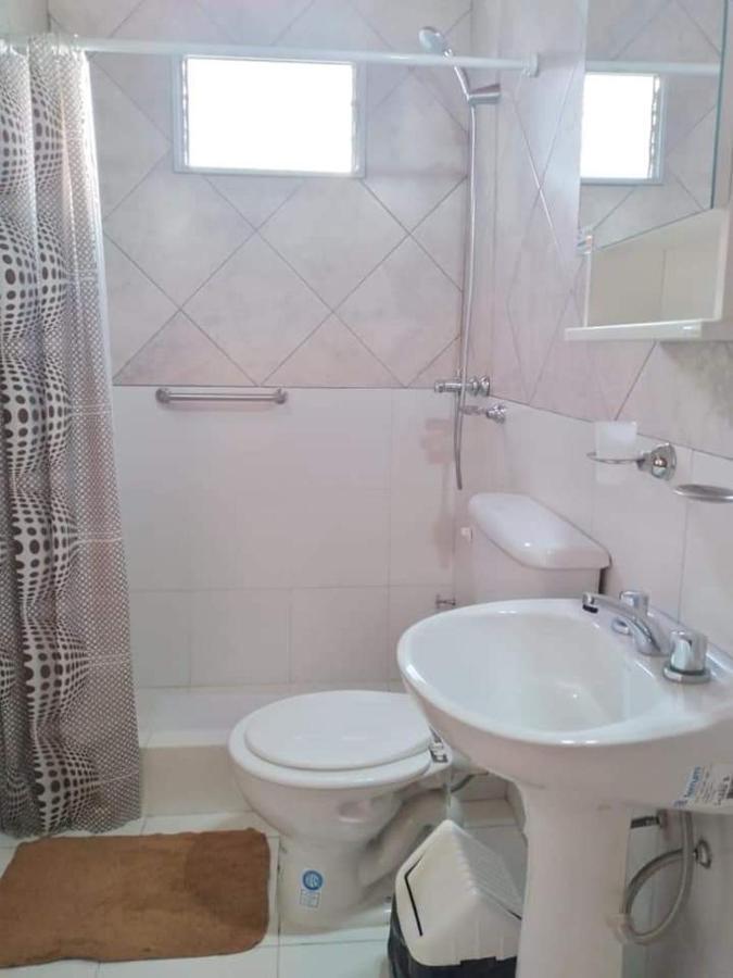 Apartment Departamento Odi *
